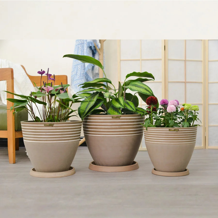 Round Flowerpot with Plate