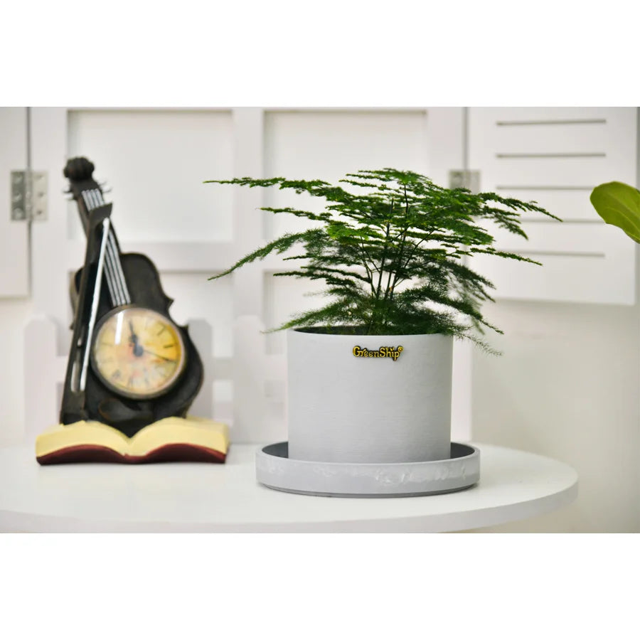 Round Flowerpot with Plate