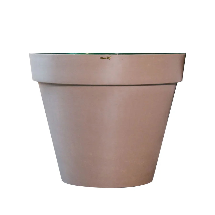 Round Tree Pot with Glass