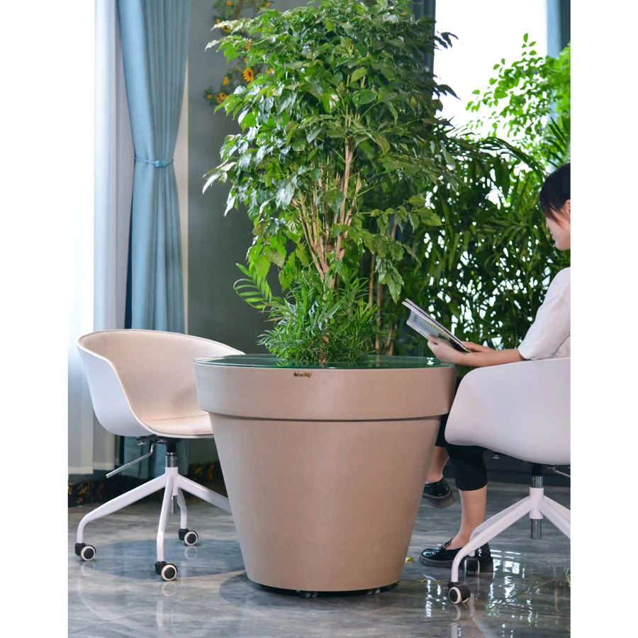 Round Tree Pot with Glass