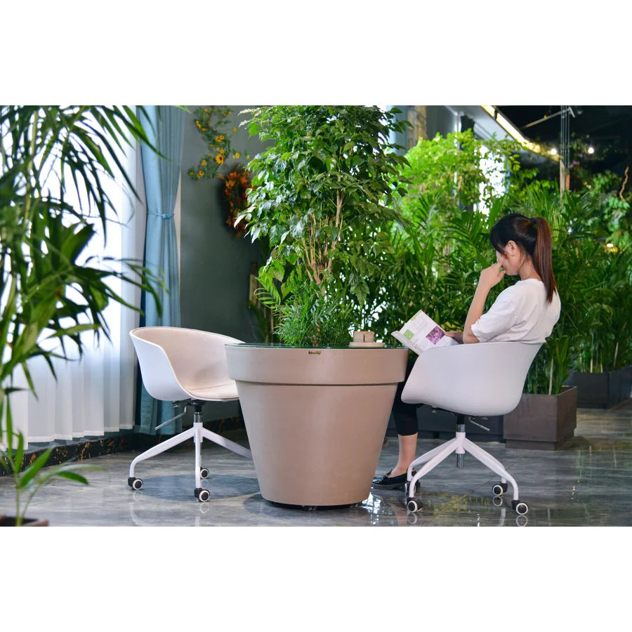 Round Tree Pot with Glass