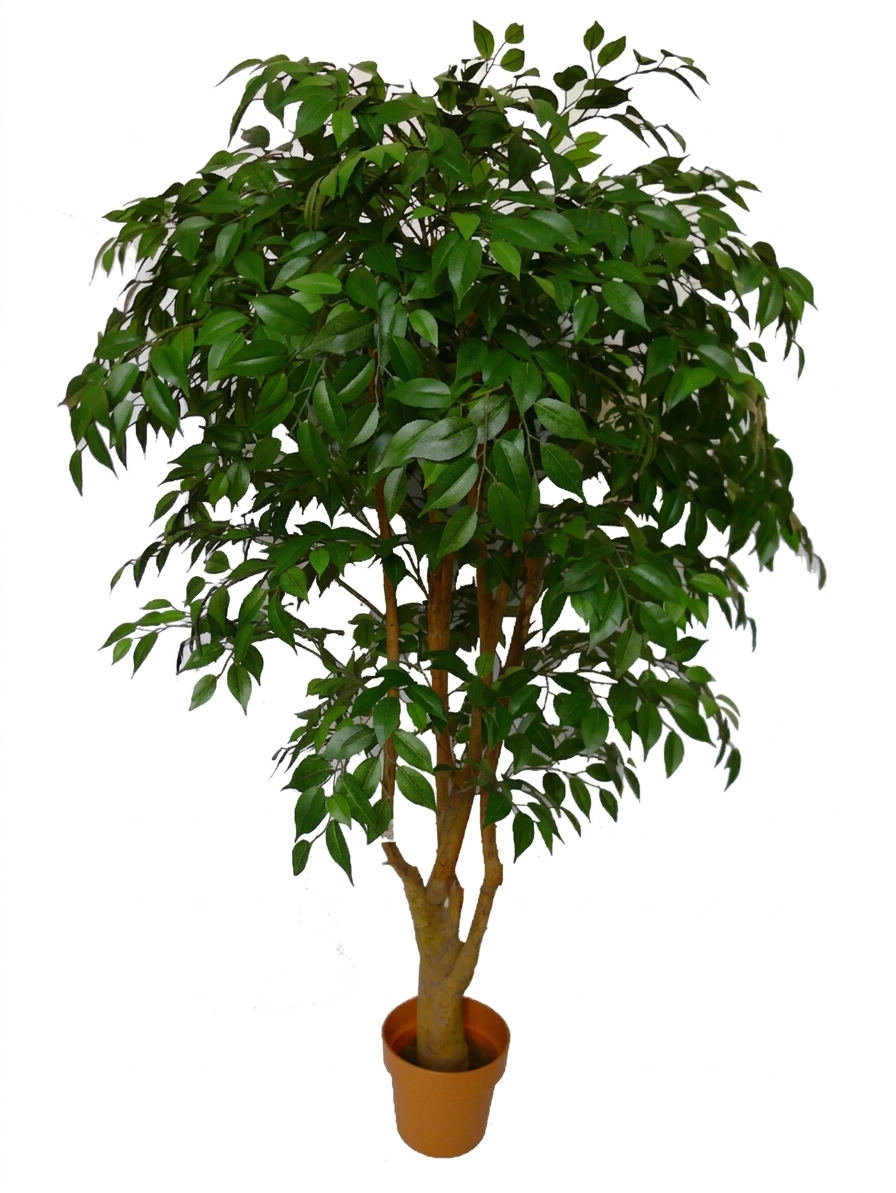 Artificial trees Mini Ficus