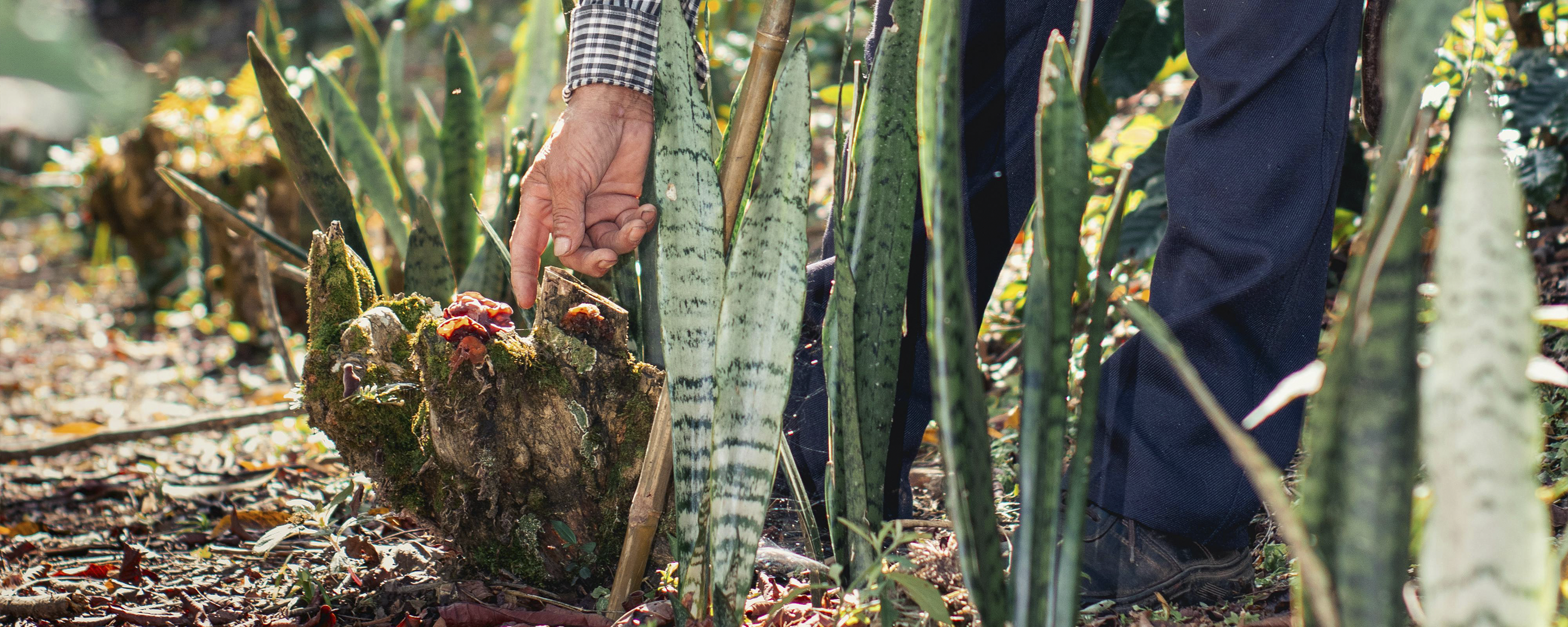 Gardening Essentials