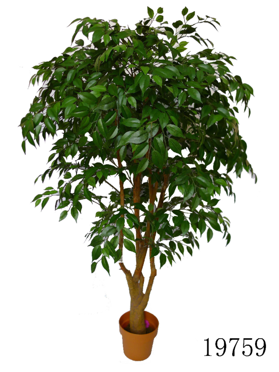 Artificial trees Mini Ficus