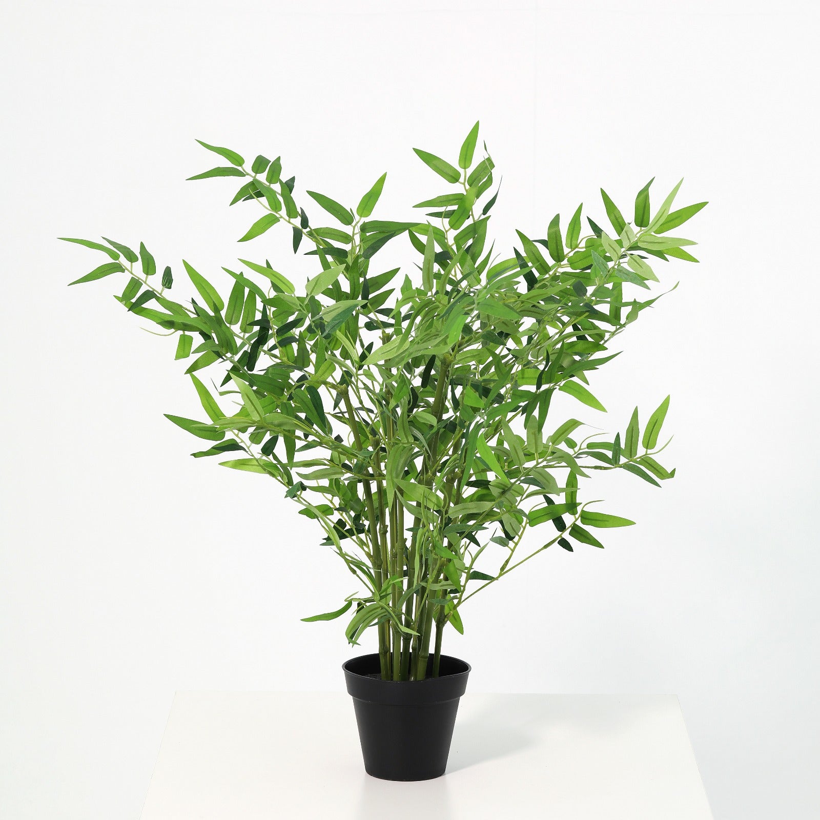 New Little Arhat Bamboo