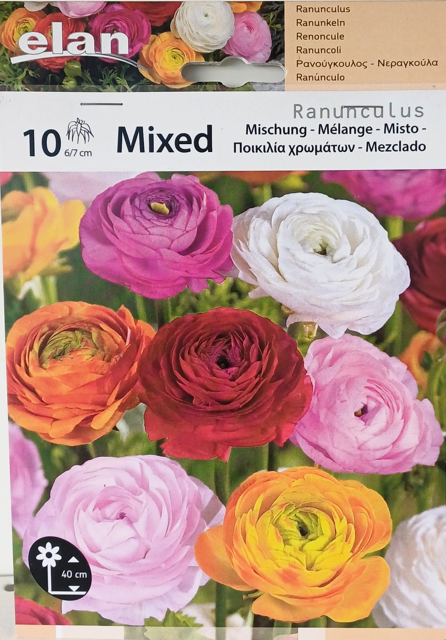 Ranunculus