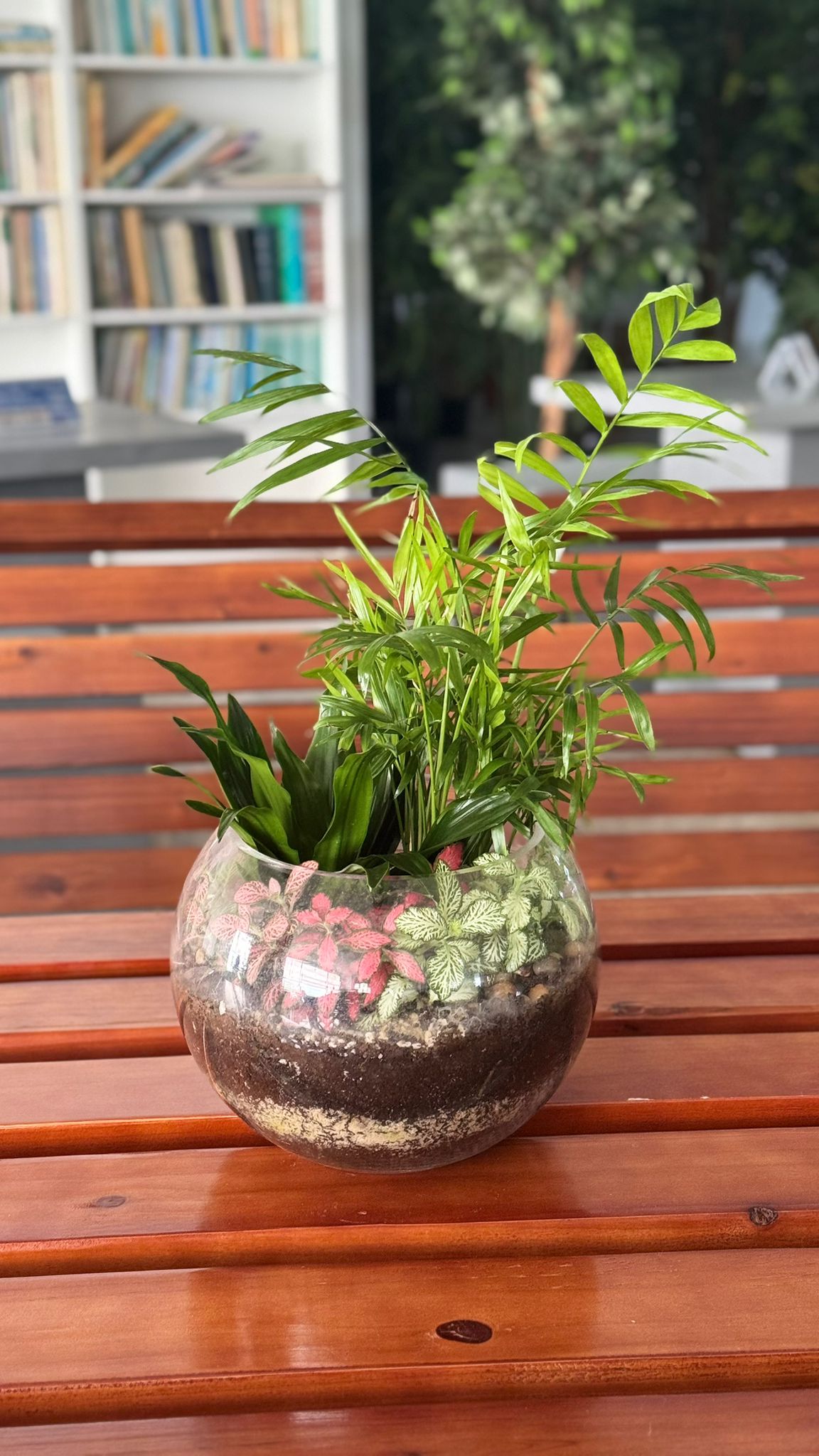 Terrariums