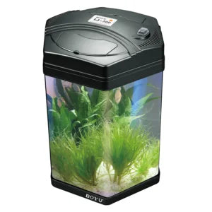 Aquarium
