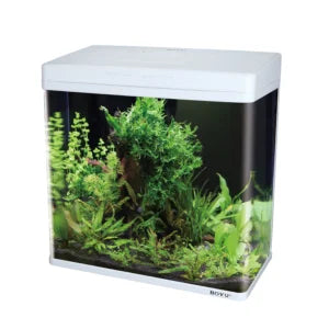 Aquarium